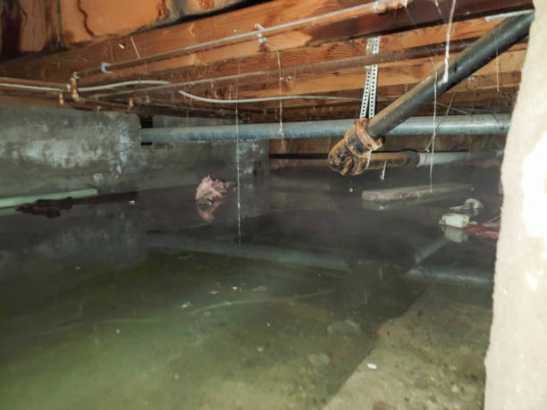 Best 24-hour water damage restoration  in Baxter Springs, KS
