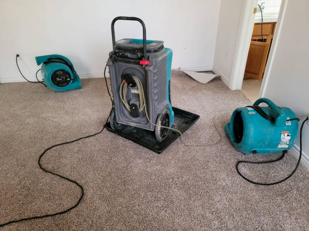 Best Water damage restoration mold remediation  in Baxter Springs, KS