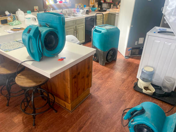 Best Carpet water damage restoration  in Baxter Springs, KS