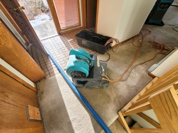 Best Water damage restoration experts  in Baxter Springs, KS
