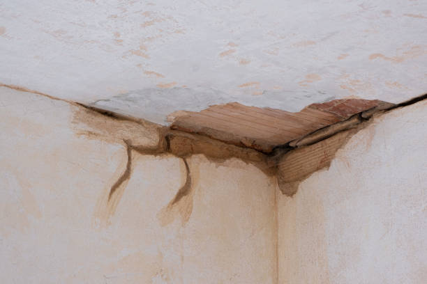 Best Ceiling water damage repair  in Baxter Springs, KS