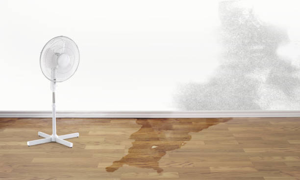 Best Fire Damage Restoration  in Baxter Springs, KS