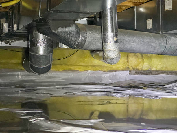 Best Professional water damage repair  in Baxter Springs, KS