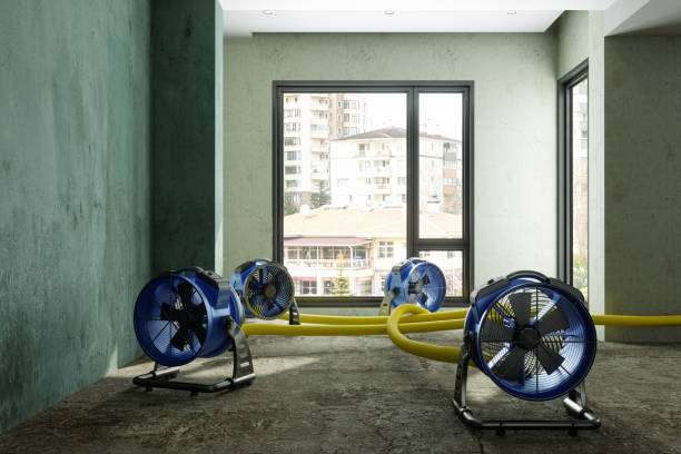Best 24/7 water damage repair  in Baxter Springs, KS