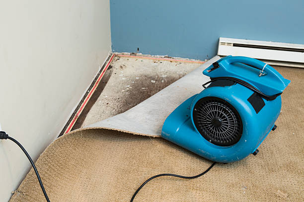 Best Basement water damage restoration  in Baxter Springs, KS